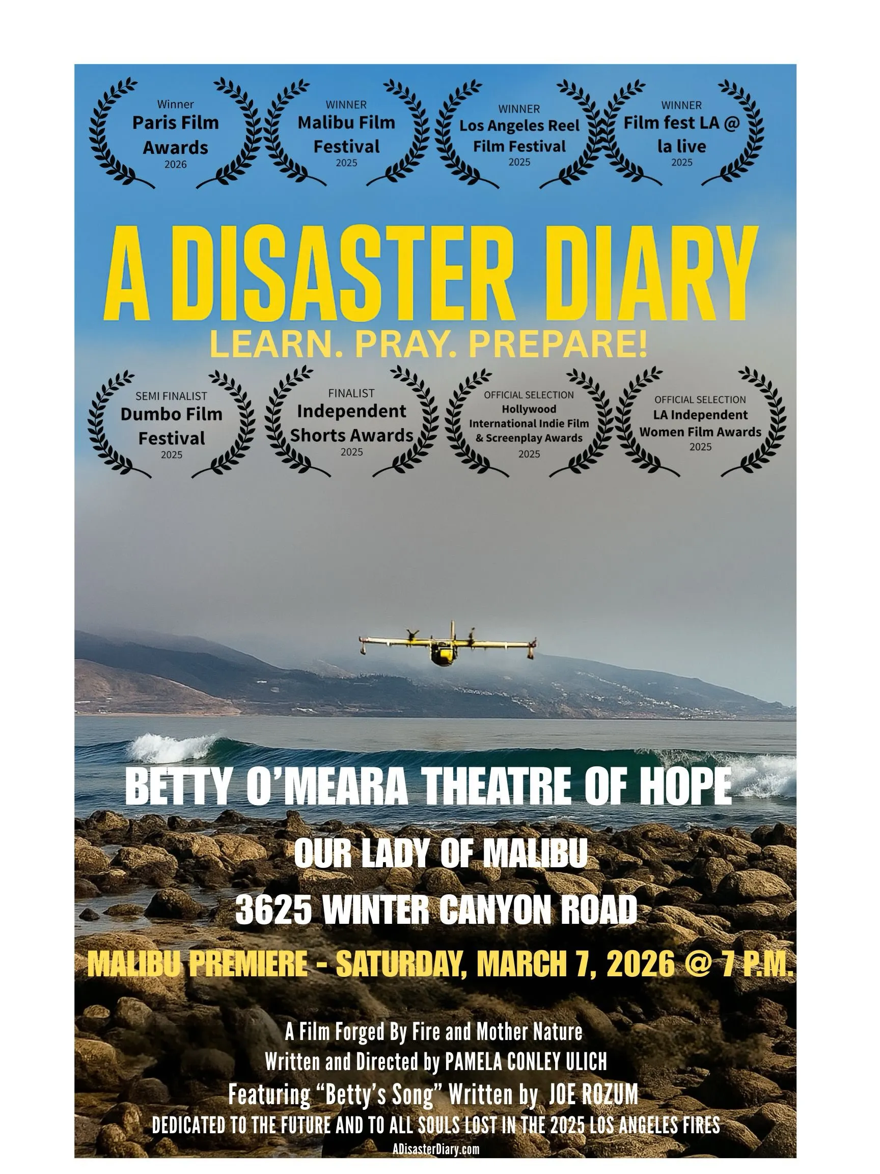 A Disaster Diary Poster
